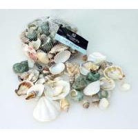 300g Bag Sea Shells Mix at World Of Decor NZ