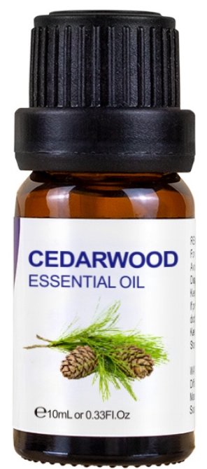 Essential Oil 10ml-Cedarwood at World Of Decor NZ