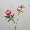 Boston Peony 60cm Artificial Flowers at World Of Decor NZ