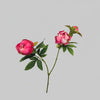 Boston Peony 60cm Artificial Flowers at World Of Decor NZ