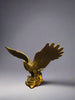 Brass Eagle 12cm FENG SHUI PRODUCTS at World Of Decor NZ
