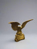 Brass Eagle 15cm FENG SHUI PRODUCTS at World Of Decor NZ