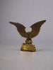 Brass Eagle 15cm FENG SHUI PRODUCTS at World Of Decor NZ