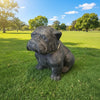 Bull Dog 40cm Grey GARDEN & OUTDOOR at World Of Decor NZ