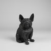Bull Dog Sitting 30cm - Black SCULPTURE/ORNAMENT & ANIMAL at World Of Decor NZ