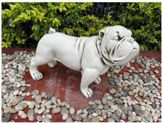 Bull Dog Statue at World Of Decor NZ