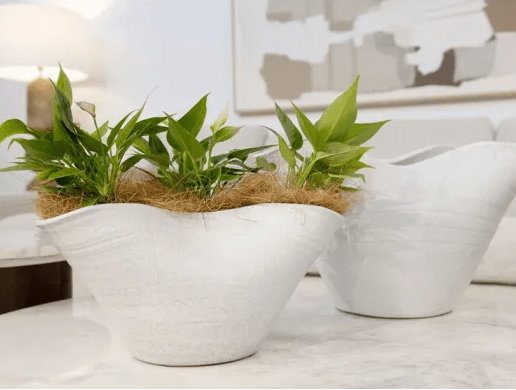 Curves Ceramic Vase - 25cm* VASES at World Of Decor NZ