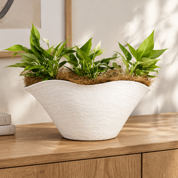 Curves Ceramic Vase - 25cm* VASES at World Of Decor NZ