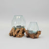 Gamal Root Aquarium-Small ACCESSORIES at World Of Decor NZ