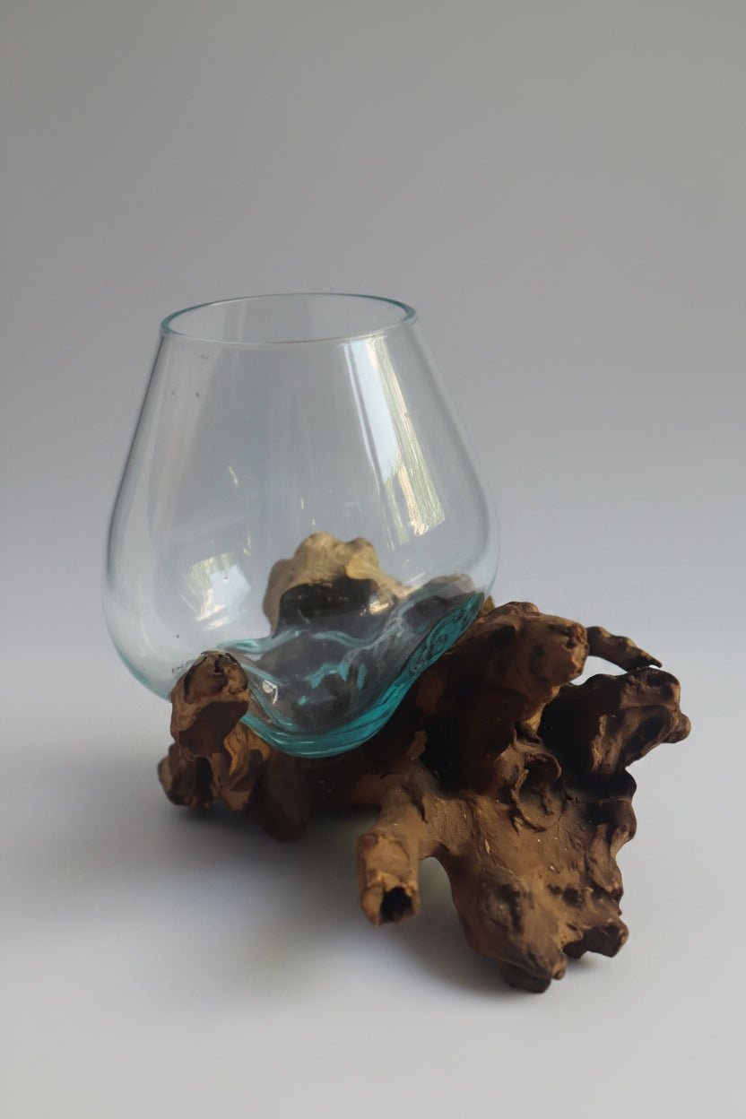 Gamal Root Aquarium-Small ACCESSORIES at World Of Decor NZ