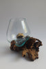 Gamal Root Aquarium-Small ACCESSORIES at World Of Decor NZ