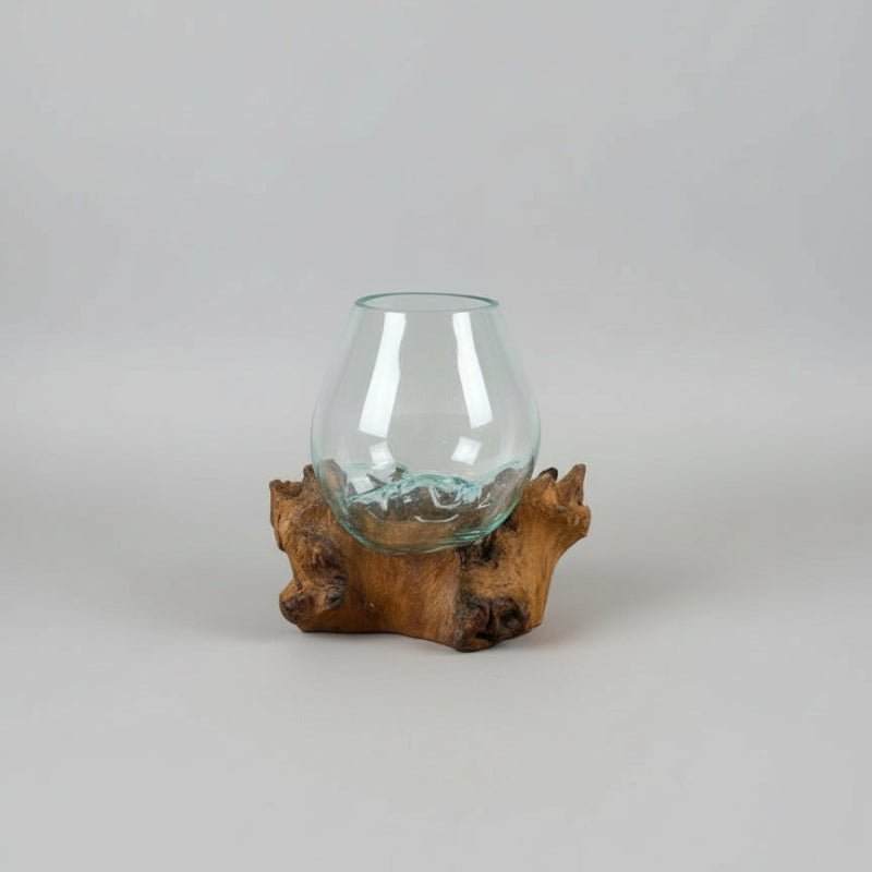 Gamal Root Aquarium-Small ACCESSORIES at World Of Decor NZ