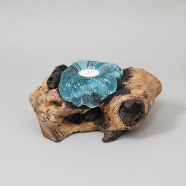 Gamal Root Tealight Holder CANDLES HOLDER at World Of Decor NZ