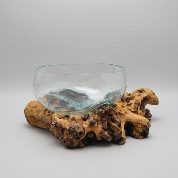 Gamal Root With Bowl 25cm ACCESSORIES at World Of Decor NZ
