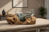 Gamal Root With Bowl 25cm ACCESSORIES at World Of Decor NZ
