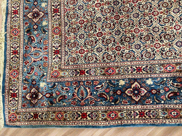 Living room Persian Rug at World Of Decor NZ