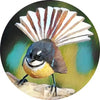 NZ Birds Glass Coaster Set of 6 COASTER at World Of Decor NZ