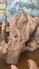 Gamal Root Aquarium Jumbo Home accessories at World Of Decor NZ
