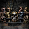 Skull Celtic-Silver/Gold 17x12x10 Poly Resin Figurines & Animals at World Of Decor NZ