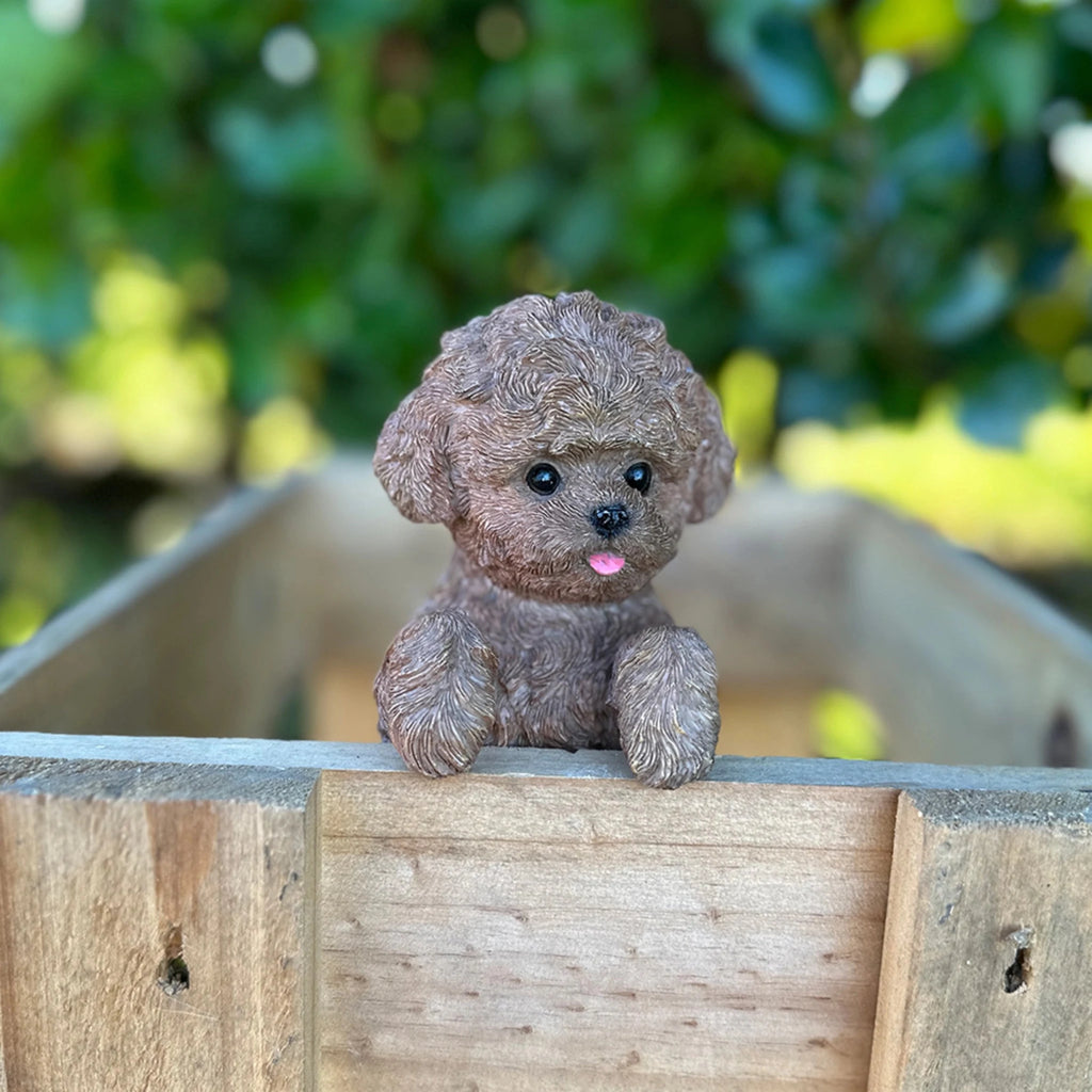 Spoodle Dog Poly Resin Figurines & Animals at World Of Decor NZ