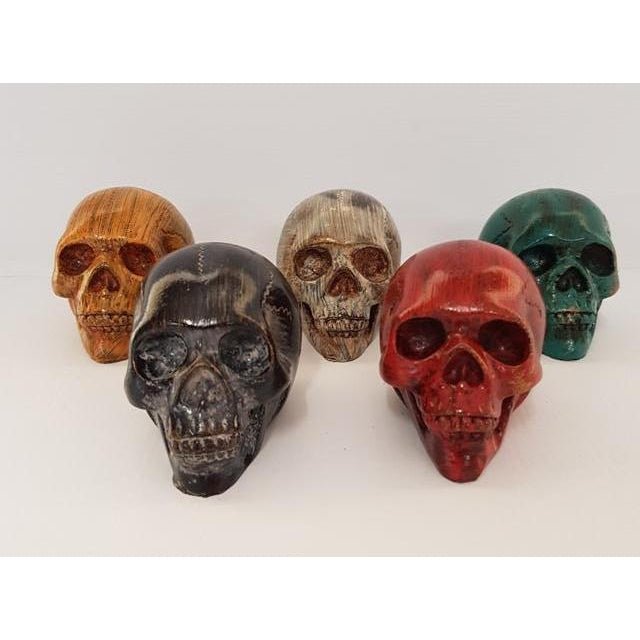 Mini Skulls Set of 5 Poly Resin Figurines & Animals at World Of Decor NZ