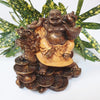 Wealth Happy Buddha With Dragon at World Of Decor NZ