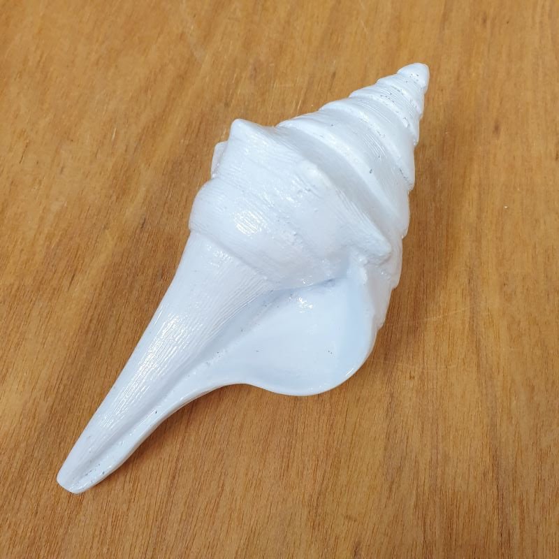 Polyresin Seashell A Home Accessories at World Of Decor NZ