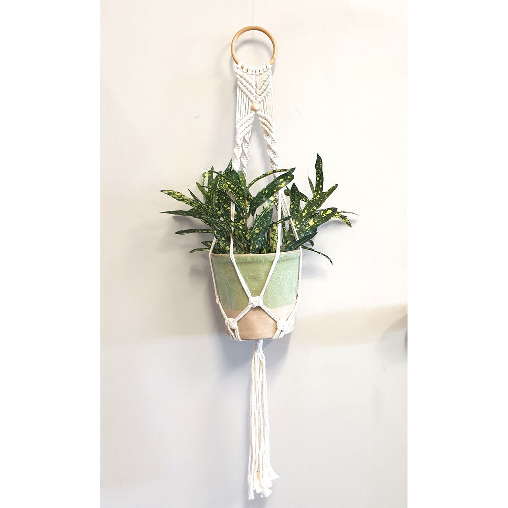 Macrame Pot Plant Holder with Round Rattan Handle Pot Plant Hangers & Holders at World Of Decor NZ