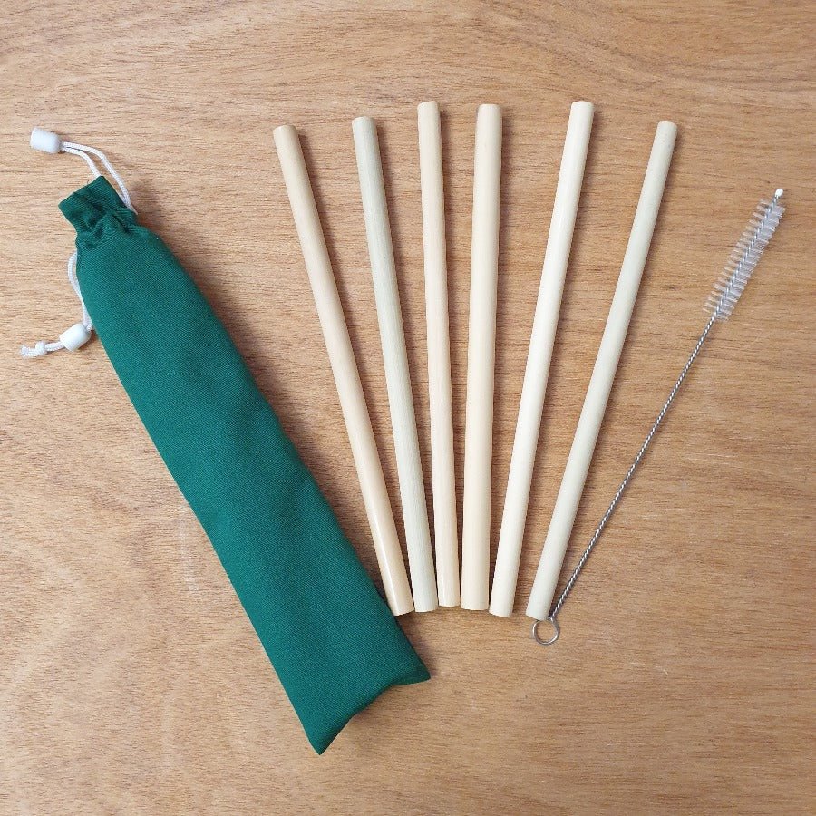 Eco Bamboo Straws Set of 6 with Brush Home Accessories at World Of Decor NZ