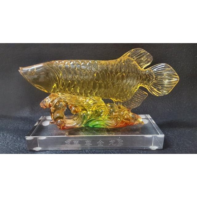 AROWANA FISH FOR WEALTH - 20CM FENG SHUI PRODUCTS at World Of Decor NZ