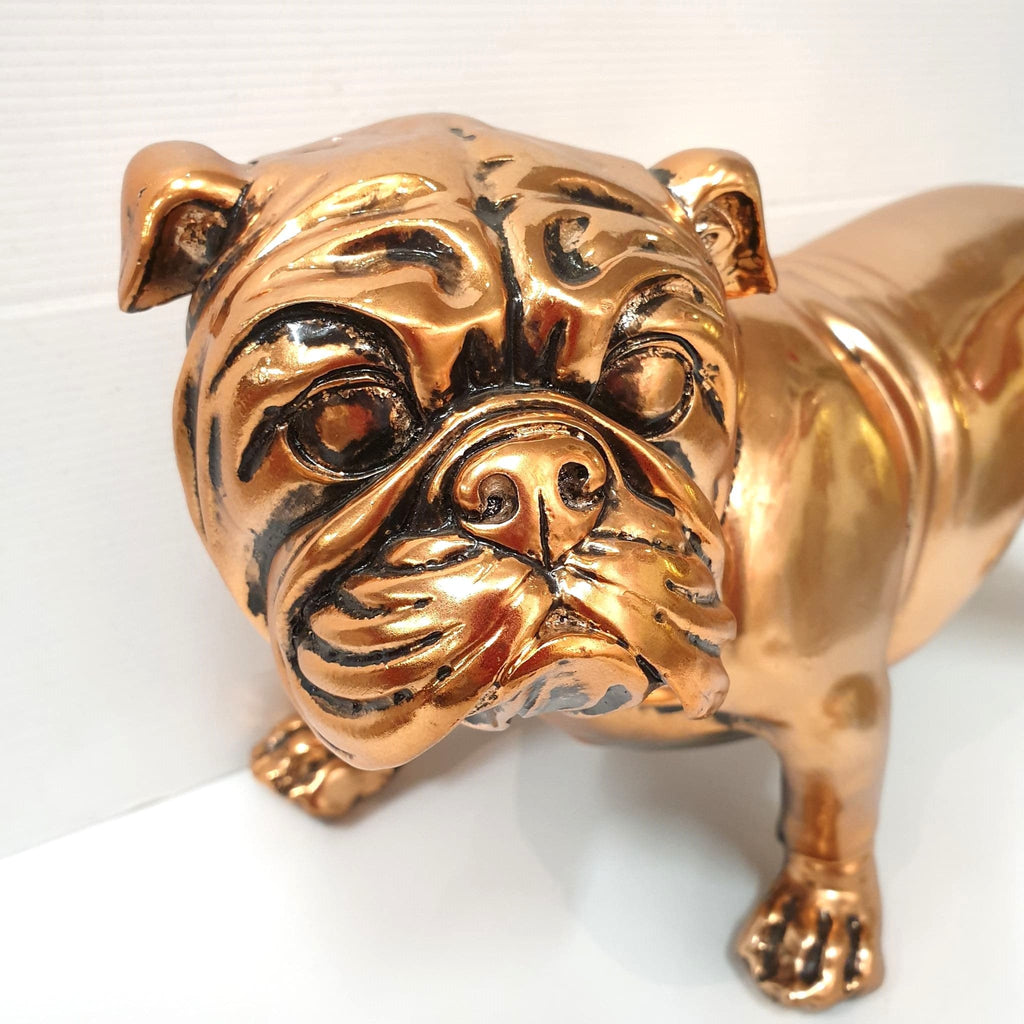 Bull Dog Statue SCULPTURE/ORNAMENT & ANIMAL at World Of Decor NZ