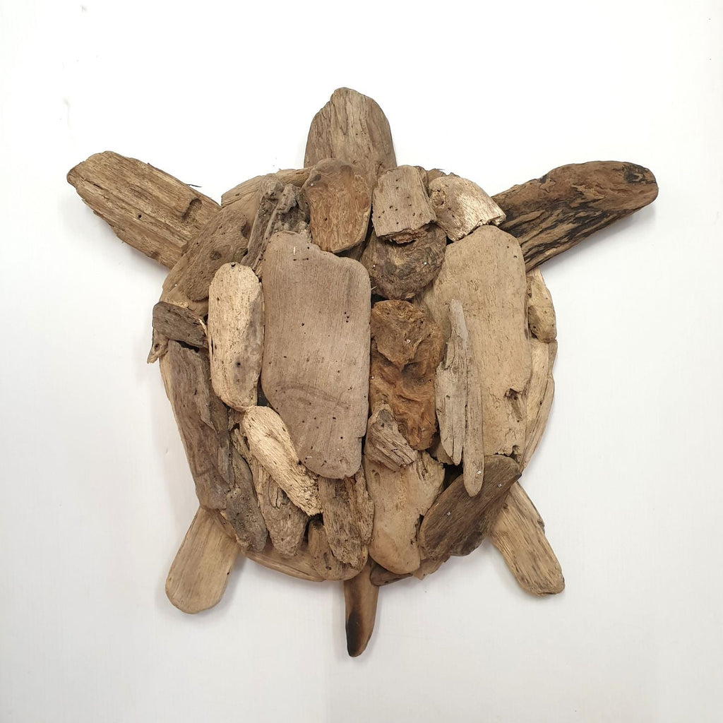 Driftwood Turtle Wall Art Wall Art, Affirmations & Hangings at World Of Decor NZ