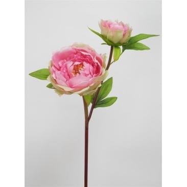 Pink Half Moon Peony FLOWER at World Of Decor NZ