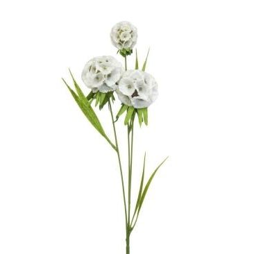 Spiraea Green FLOWER at World Of Decor NZ