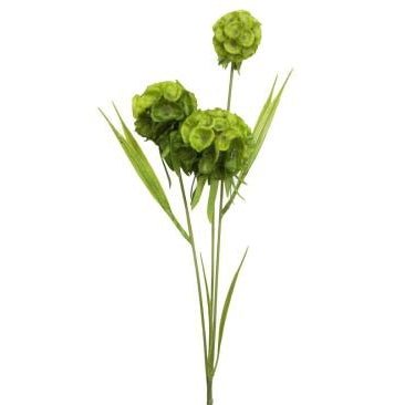 Spiraea Green FLOWER at World Of Decor NZ