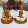 Buddha Sitting on Lotus Cream at World Of Decor NZ