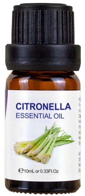 Essential Oil 10ml-Citronella at World Of Decor NZ