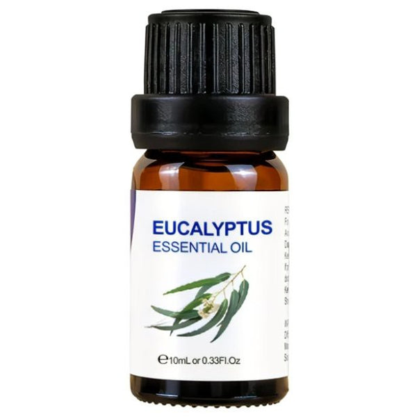 Essential Oil 10ml-Eucalyptus at World Of Decor NZ