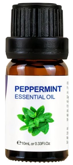 Essential Oil 10ml-Pepermint at World Of Decor NZ