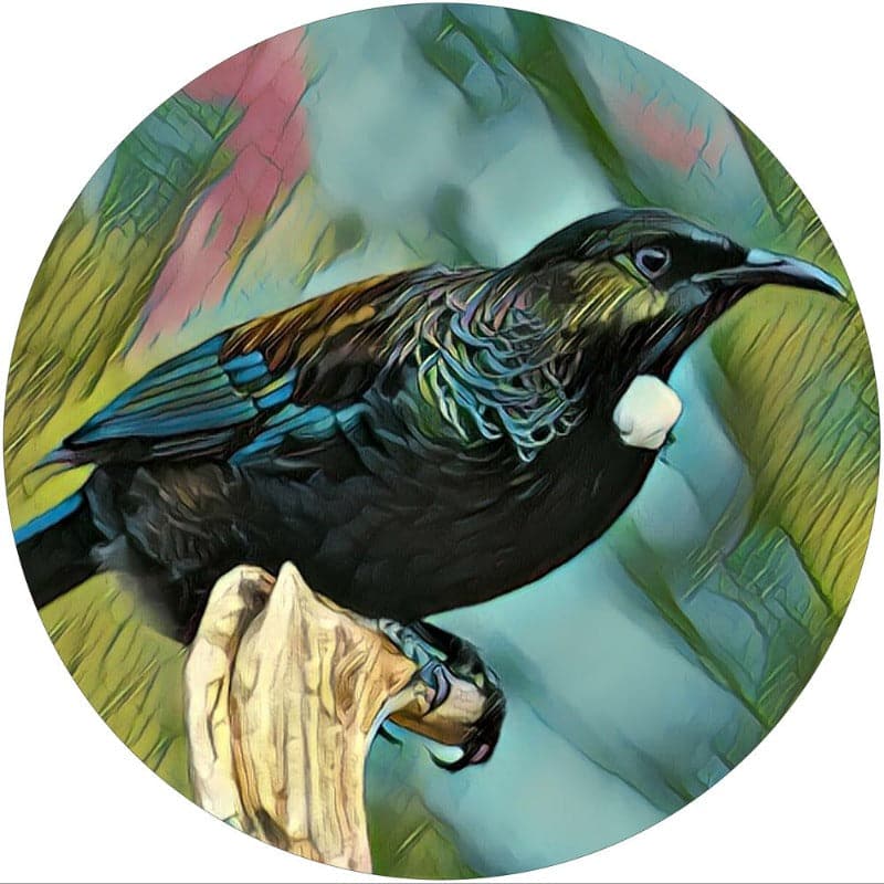 Tui Glass Coaster Set of 6 COASTER at World Of Decor NZ