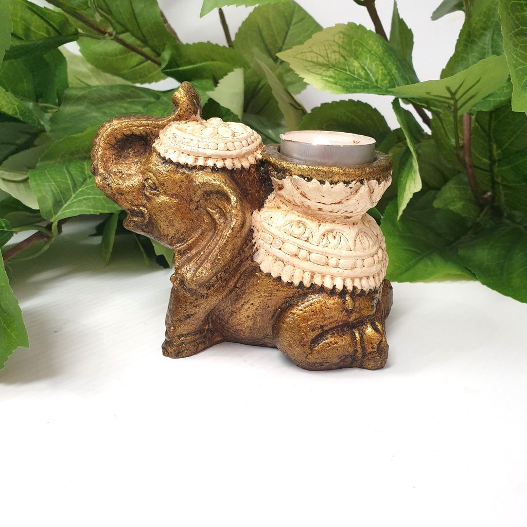 Wealth Elephant Candle Holder - Cream Candle,Tealight & Incense Holders at World Of Decor NZ